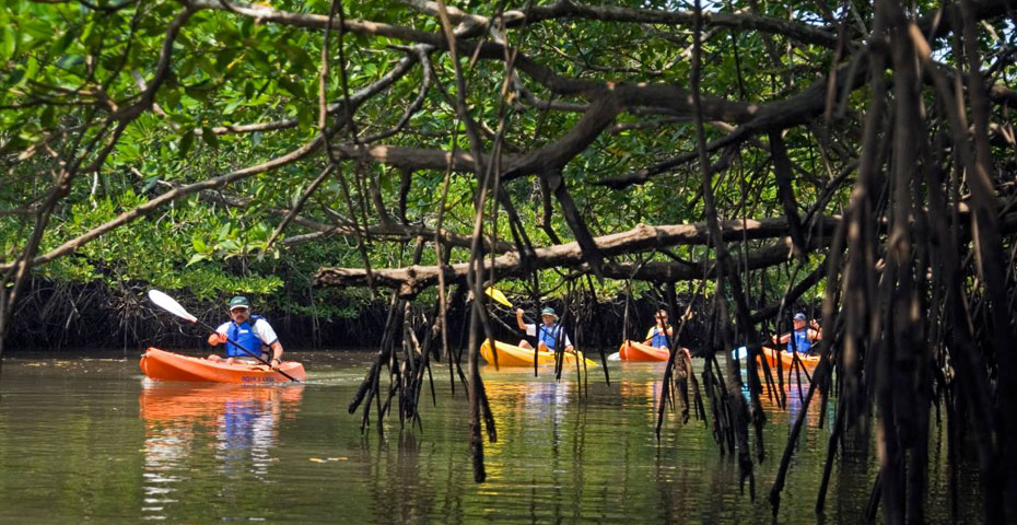 Kayaking