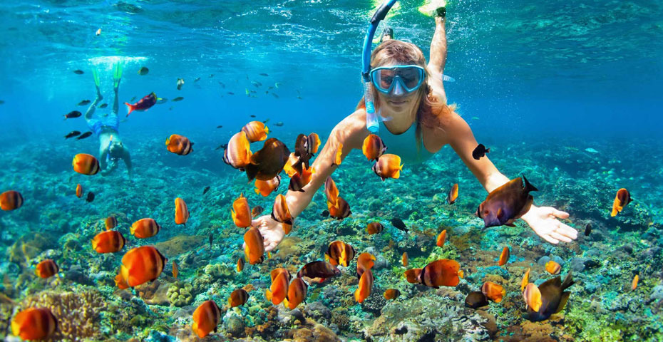 Snorkelling