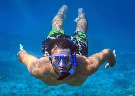 Marine Life